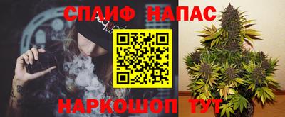 дмт Можга