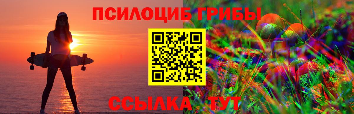 Дмитров  Галлюциногенные грибы ЛСД  Вход с VPN 